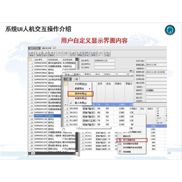 服装进销存|服装进销存系统哪个好|易神软件_杀