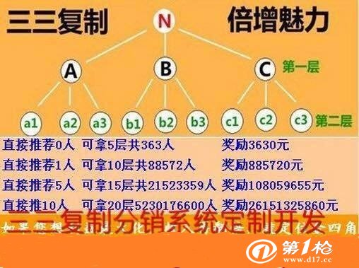 公司主要经营:直销软件,双轨制,级差,太阳线,一条线,三轨,层碰,点