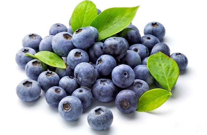 藍莓鮮果