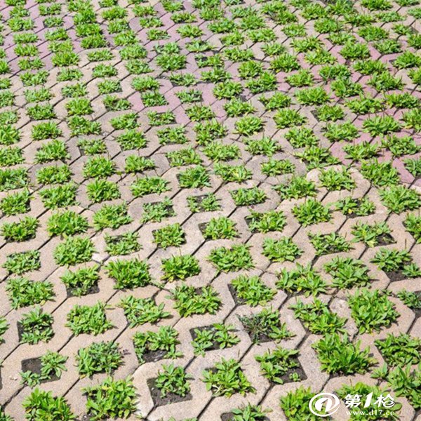 广场园林井字砖社区道路绿化植草砖景观停车位透水铺地河道草坪砖