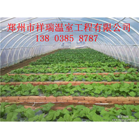 供应周口蔬菜大棚安装技术商丘食用菌大棚建造成本