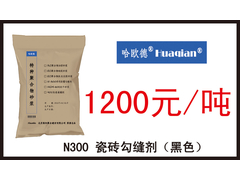 N300黑.jpg