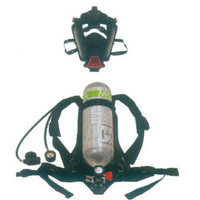BDMAX2100标准型呼吸器