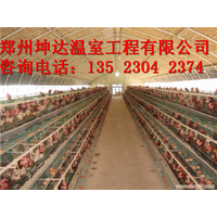 养殖大棚建设保定温室大棚建设养鸡大棚搭建技术