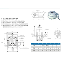 压力释放阀YSF4130KJTH沈变 