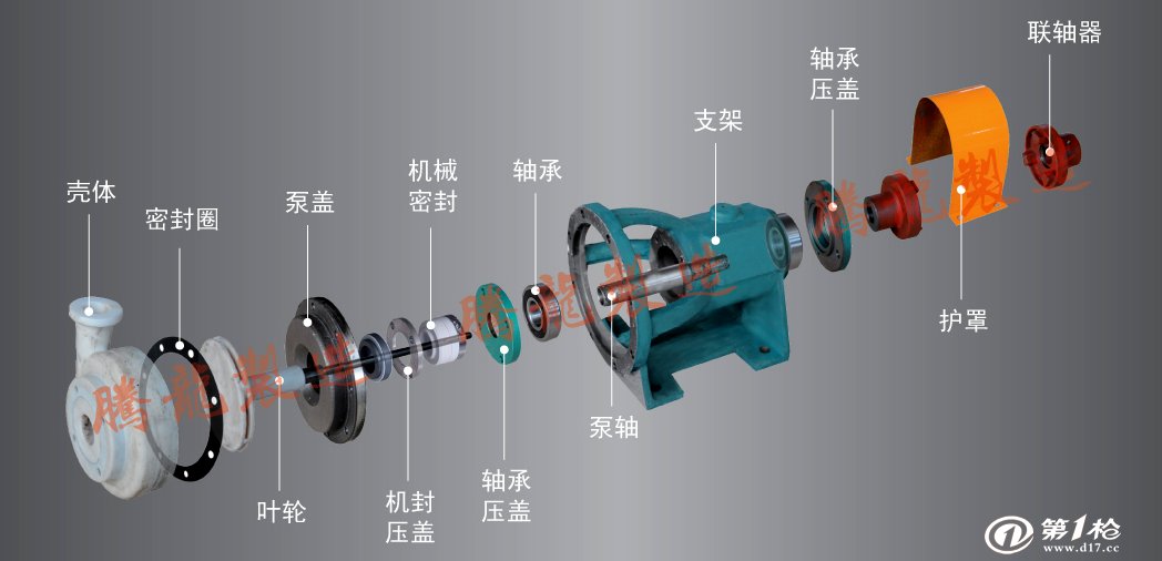 离心泵构造及组成图片