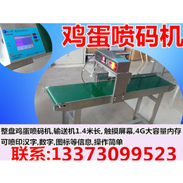 山东菏泽鸡蛋喷码机多少钱缩略图