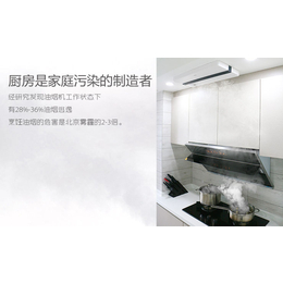 美国布朗厨房空气处理器bcx-300 空气净化器