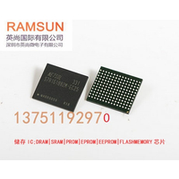 RAMSUN Company Profile 