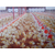 山东济宁嘉汇农牧机械设备有限公司优惠促销的肉鸡自动喂料线缩略图4