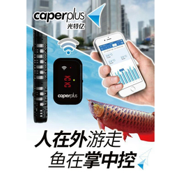供应caper远程智能温控器500W鱼缸加热棒