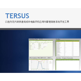 Tersus无代码画画一样开发企业erp系统缩略图