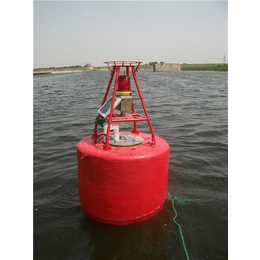 近海检测浮标_东海浮标(图)_大型检测浮标