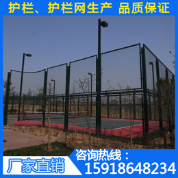 广州勾花网出口 番禺大学城球场围栏 喷塑隔离网 足球场防护网