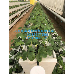立体种植草莓槽瓜果蔬菜种植槽PVC立体种植槽