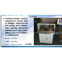 广州赛彩(图)|转子焊锡机报价|湛江转子焊锡机