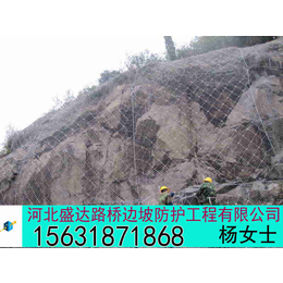 新疆SNS边坡防护网 边坡防护网 泥石流防护网