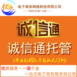 南通阿里巴巴托管南通阿里巴巴关键词排名南通诚信通托管缩略图