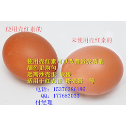 蛋鸡*壳红素增加蛋壳厚度