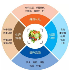 质量溯源监控后台管理系统缩略图