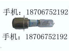 12v25w信号灯泡_副本.jpg