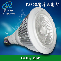 蓝一和PAR38COB鳍片射灯套件 PAR灯LED植物灯外壳