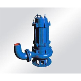 程跃泵业(图)|污水泵扬程13.5m流量|内江污水泵
