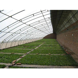 温室蔬菜大棚、温室蔬菜大棚建设、浩铭温室