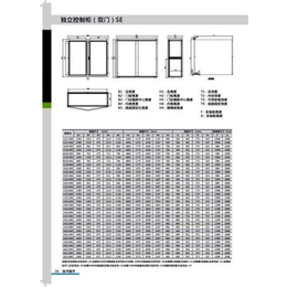 *控制柜双门SE系列_江门控制柜双门_萨尔电气