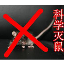 安阳办事处-濮阳清波灭鼠(查看),汤阴县好的灭鼠公司