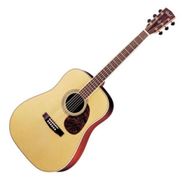 莱夫特吉他(图)|吉他专卖店|常州吉他缩略图
