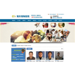 郑州网站策划|品牌网站策划|软银科技缩略图