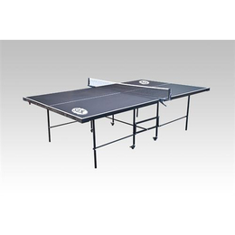 湖南乒乓球桌|双子星体育用品(****商家)|移动乒乓球桌