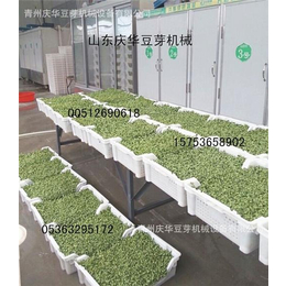 *芽苗菜设备价格|芽苗菜|青州庆华豆芽机蔬菜清洗机