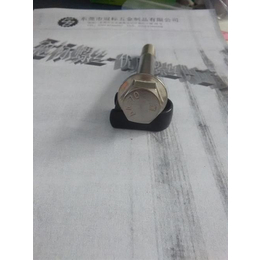 冠标螺丝|求购不锈钢法兰螺栓|不锈钢法兰螺栓生产