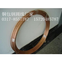 铜包钢圆线6米 50米 100米价格是多少