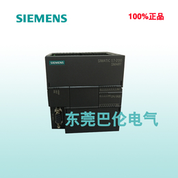 西门子6ES7288-1SR20-0AA0 CPU SR20