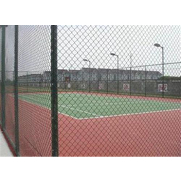 卓诺丝网(图)、球场防护网规格、香港球场防护网