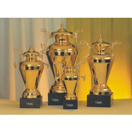 体育比赛奖杯-单位活动奖杯-私人活动比赛金属奖杯销售