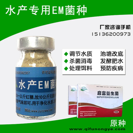 水产em*养殖益生菌微生物制剂活性菌货源