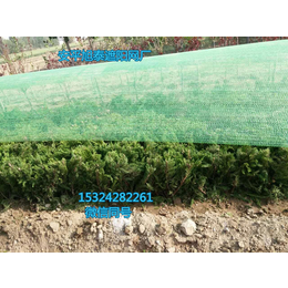 黑色遮阳网  绿色遮阳网  工地盖土网  工地防尘网缩略图