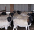 上海种羊,万隆牧业(****商家),哪种羊好养缩略图1