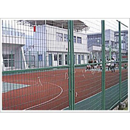 卓诺丝网(图)|运动场护栏网定做|黑龙江运动场护栏网