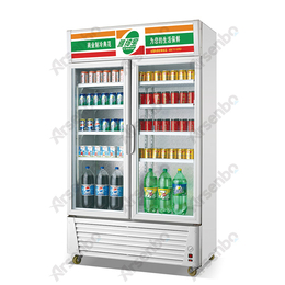 广东冷柜厂家*经济型两门展示冷柜 两饮料冷藏冰柜