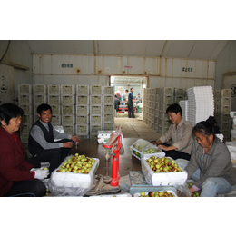 供应香蕉保鲜库冷藏库建设厂家抚州市临川区