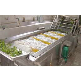 蔬菜清洗机厂家*|镇江蔬菜清洗机|诸城汇康食品机械