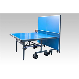 乒乓球台面板_双子星体育用品_室外乒乓球台面板