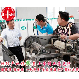 北京汇丰园凉皮机质量厂家*多功能全自动凉皮机