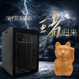 深圳大型桌面级3d打印机旺飞达*3D打印机 3D打印设备缩略图