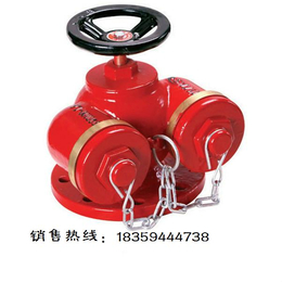 SQD100-1.6多用式地上消防水泵接合器 兴龙牌消防器材